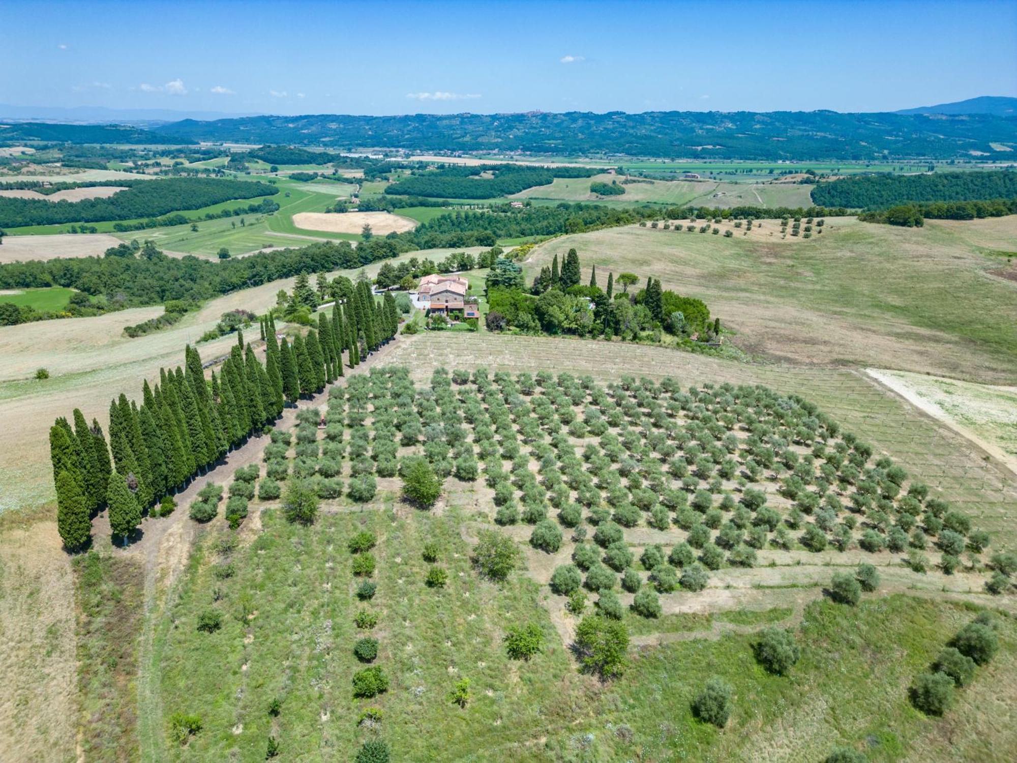 Agriturismo Spazzavento Palazzone Bagian luar foto
