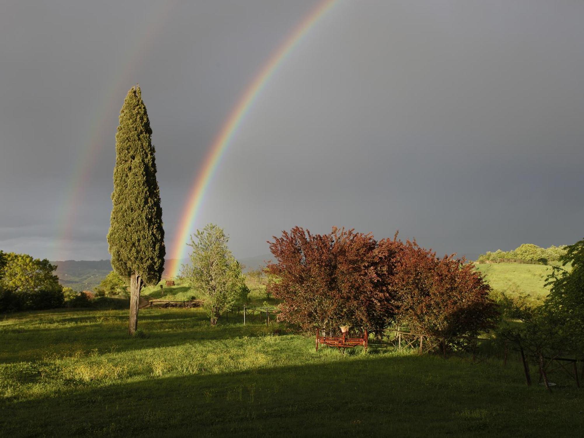 Agriturismo Spazzavento Palazzone Bagian luar foto